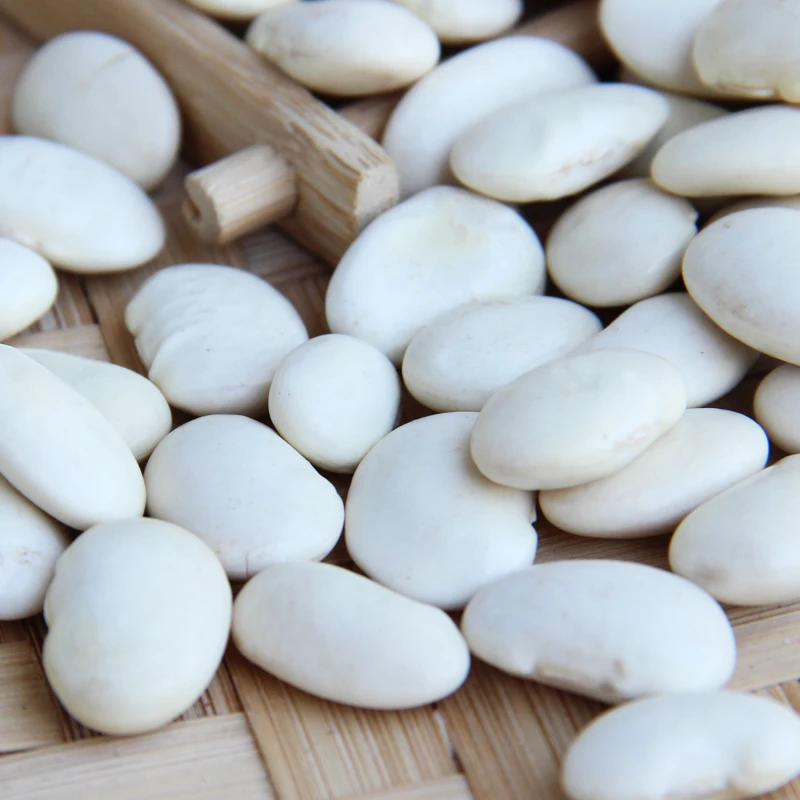 Types of white beans