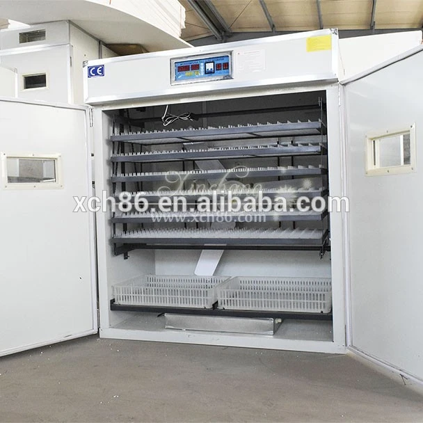 hatchery equipment and ostrich egg incubator for sale 1000 egg incubator incubator hatcher egg