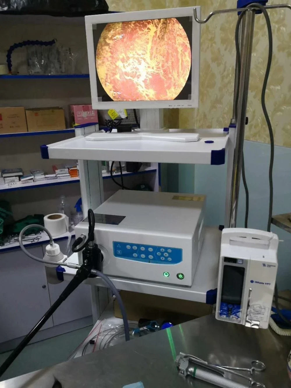 
OJH hotsale clinic use flexible Veterinary gastroscope for pets / animal and hospital 