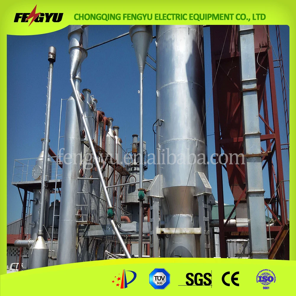 Circulating Fluidized Bed Gasifier for Biomass