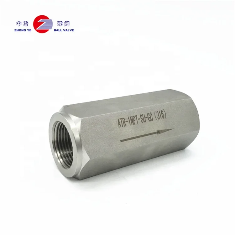 Manufactory direct check  High pressure ss304 non return straight female thread horizontal check valve