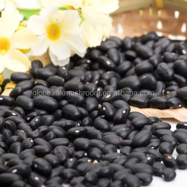 Black Beans Dried Kidney Beans Pulses