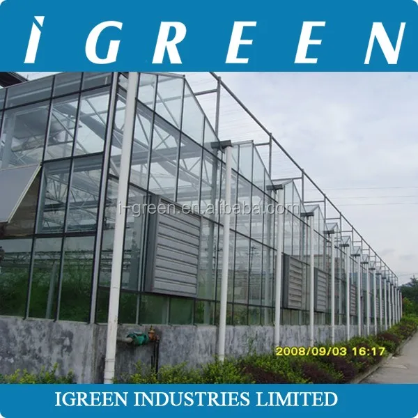 Commercial intelligent glass greenhouse for sale