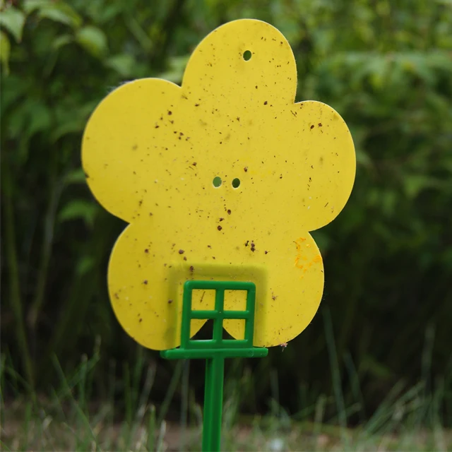 Yellow Sticky Trap Glue Trap in Flower Shape for Domestic and Garden Use
