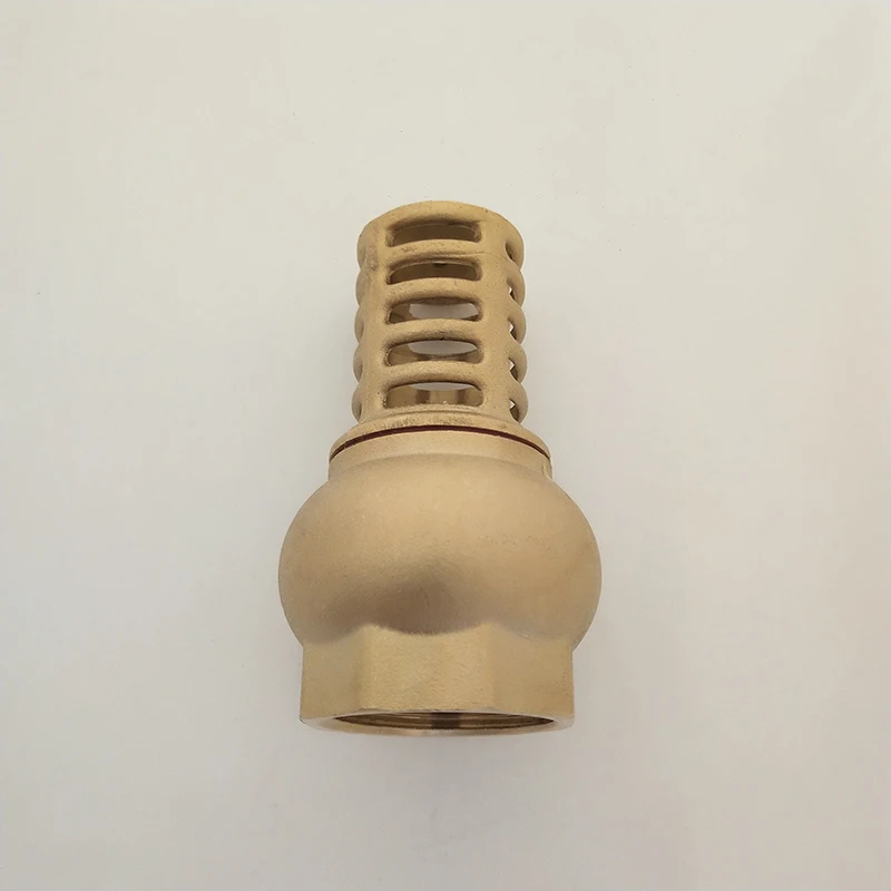 BSP Female Brass Foot Valve And Strainer For Pump