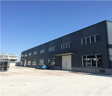 Papaya juice beverage processing machine