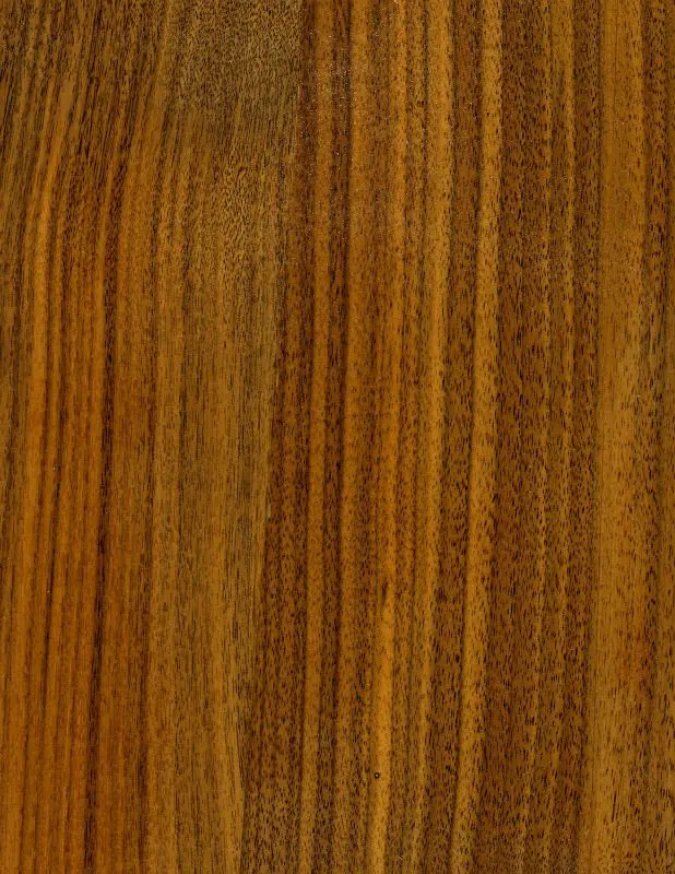 Black Walnut Melamine MDF
