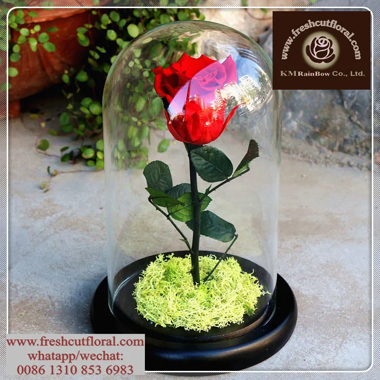 Run-After Undying Preserved- Rose Flowers Sent Out Four Seasons