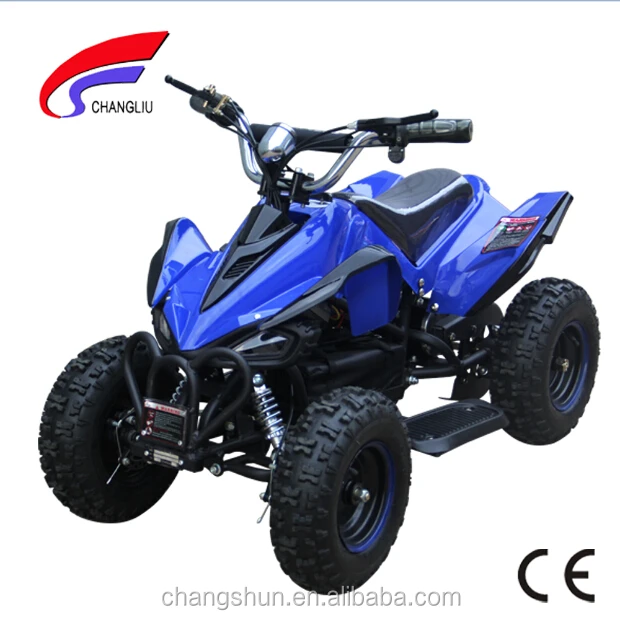 Cheap 36V 1000W electric mini quad bike for kids