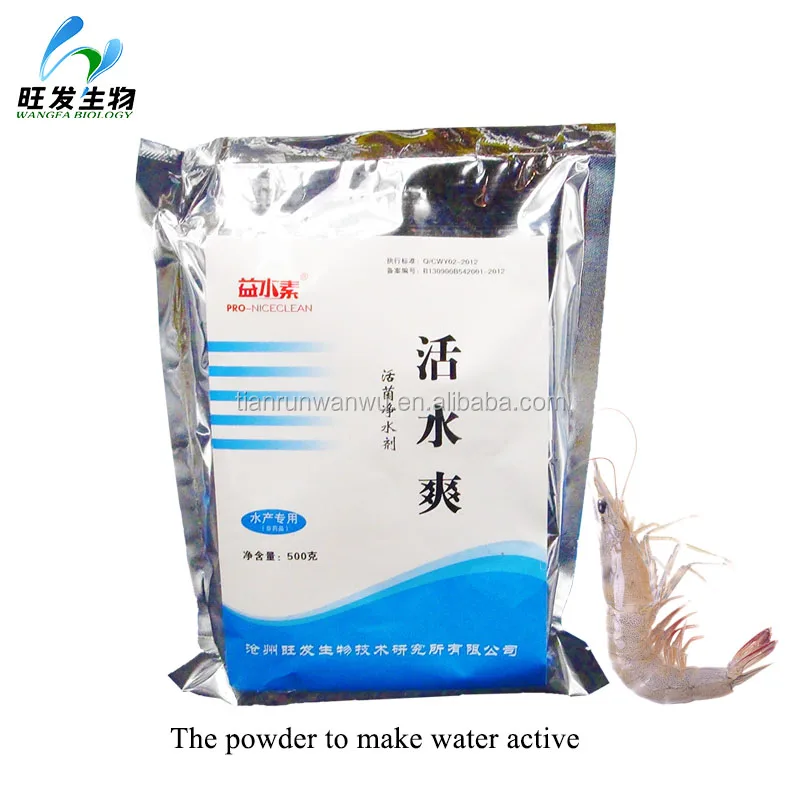 Beneficial microbes powder for aquaculture pond water