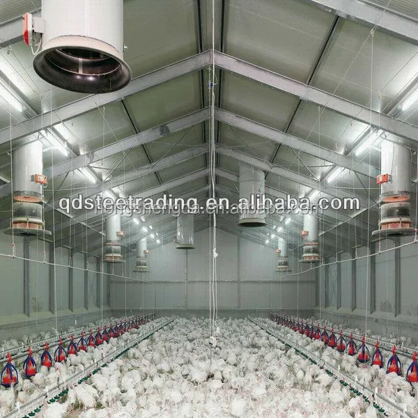 
layer egg chicken cage/poultry farm house design 