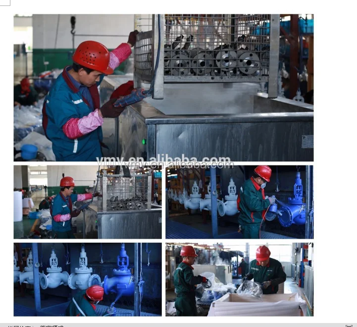 
DN65 FLANGE WCB BODY MATERIAL DIN STANDARD Lift Check Valve 