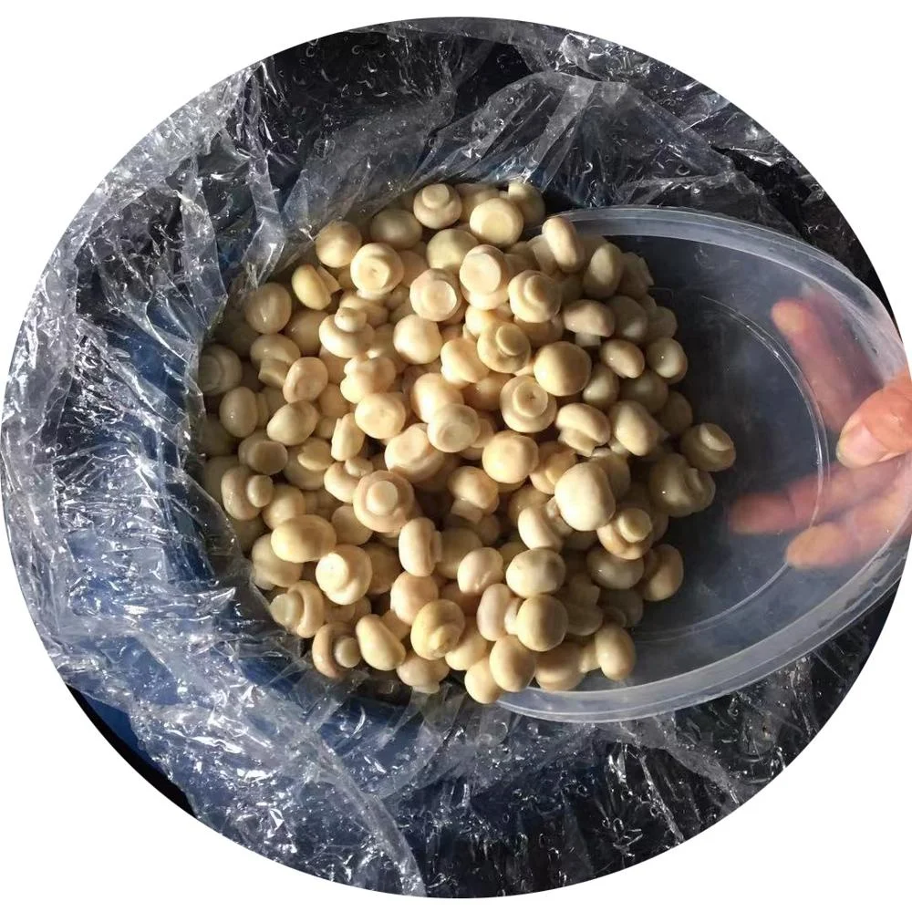 
Italy 2-2.5 cm whole champignon mushroom in vinegar in drums 
