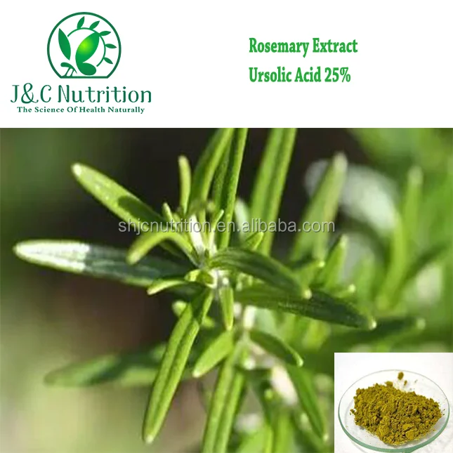 100% natural high quality and low price 25%~98% ursolic acid from Rosemary extract