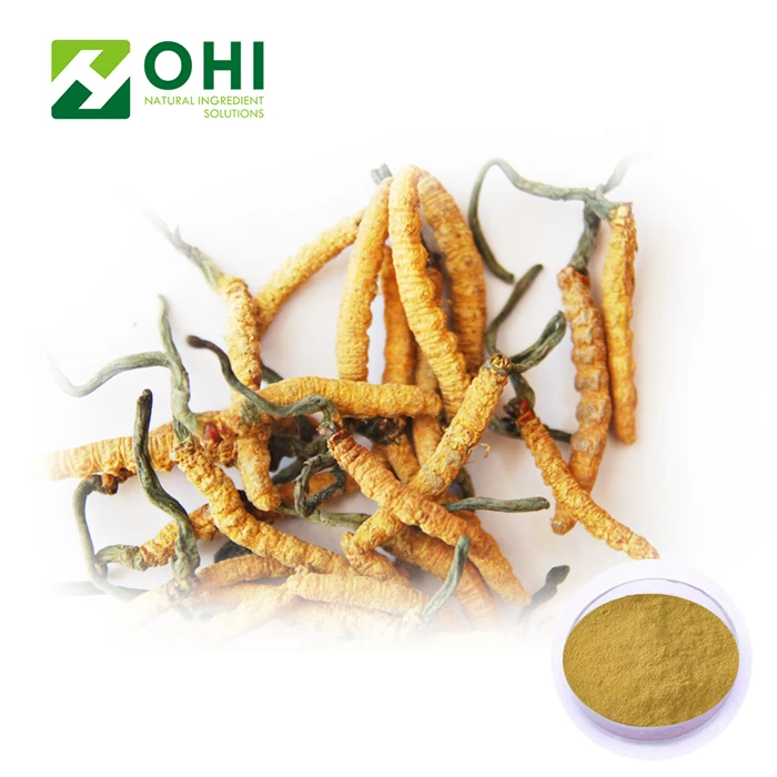 
Top Quality Cordyceps Sinensis Extract Polysaccharides 30% 