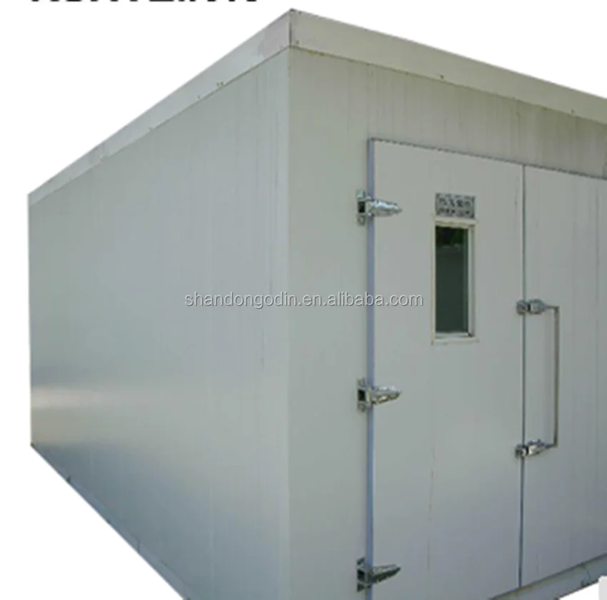 
Ice cream storage containers/freezers/cold room 