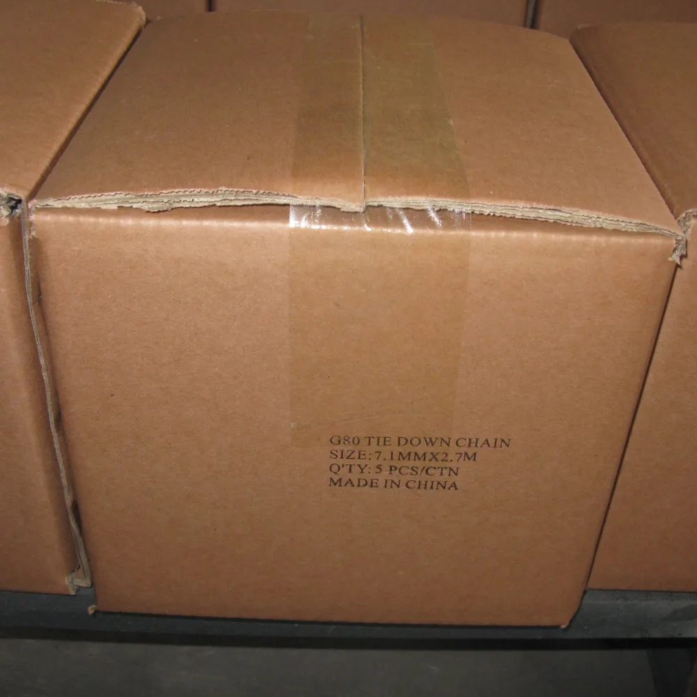 According To Customer Needs Top Quality Safty Cargo Tie Down Hook Galvanized Chain G80