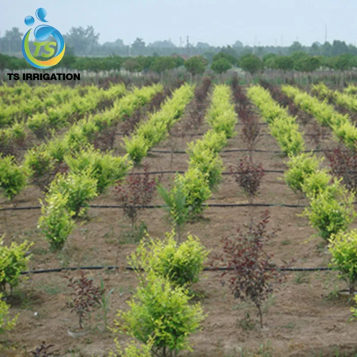 Система капельного орошения Ts для деревьев в наборах для полива