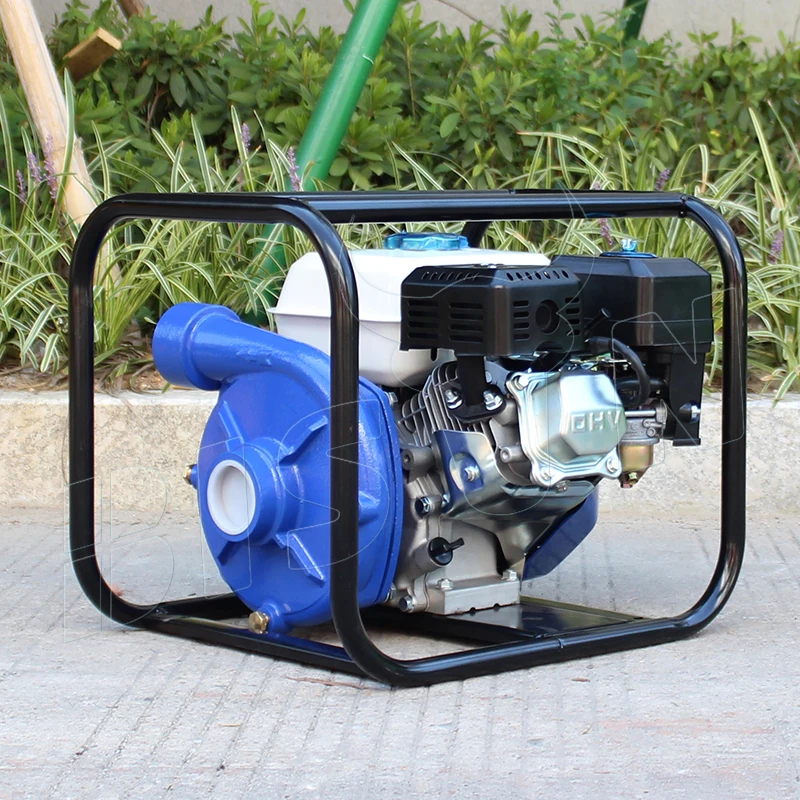 BISON(CHINA) BS20I 2 Inch High Pressure Gasoline Fire Water Pump Suppliers