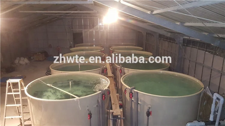 Fish Farming In India Pisciculture,Fishery Equipment Aquaculture System Tilapia,Cuve Aquaculture Shrimp Farm For Sale