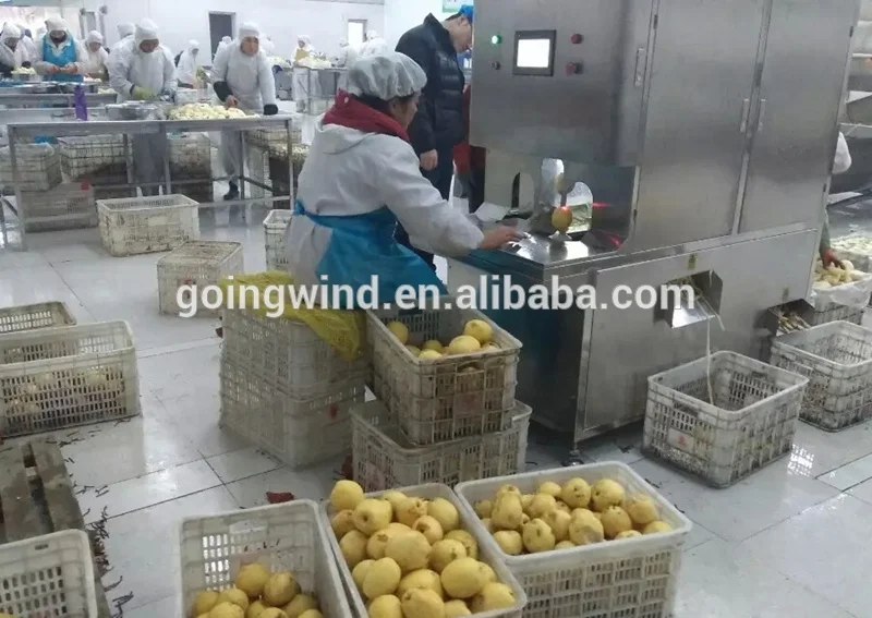 Automatic commercial orange peeling machine auto industrial mandarin oranges skinning and juicer equipment cheap price for sale