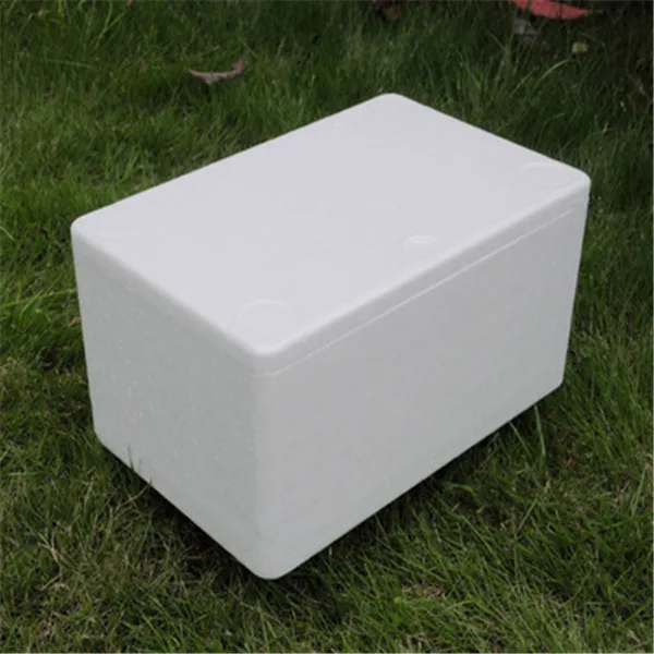 styrofoam Foam cooler box, custom foam Box with lid and carton price