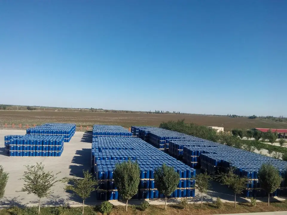 plant china with 36-38% brix 2023 crop cold break xinjiang concentrate  tomato paste