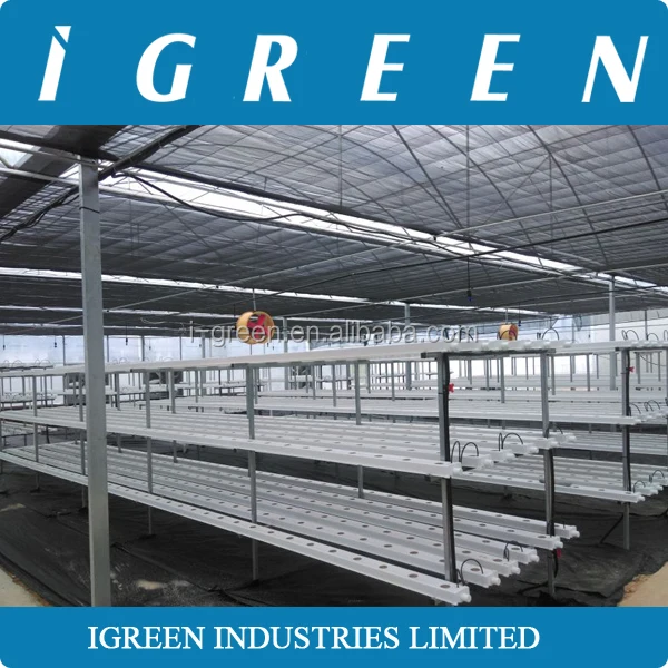 Commercial NFT hydroponics system