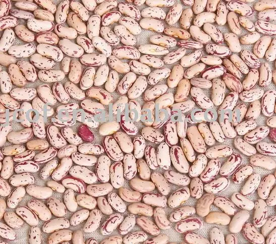 2017 new crop Feijao Catarino(712)