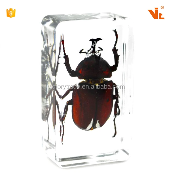 V-AMB006 tourism souvenir gift transparent acrylic block paper weight amber insect paperweight
