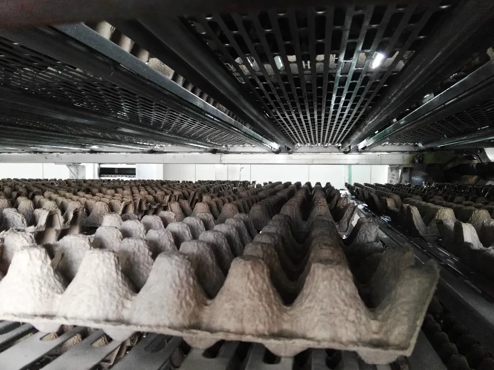 waste paper recycle used egg tray machine/automatic paper pulp egg tray production line/small machine making egg tray