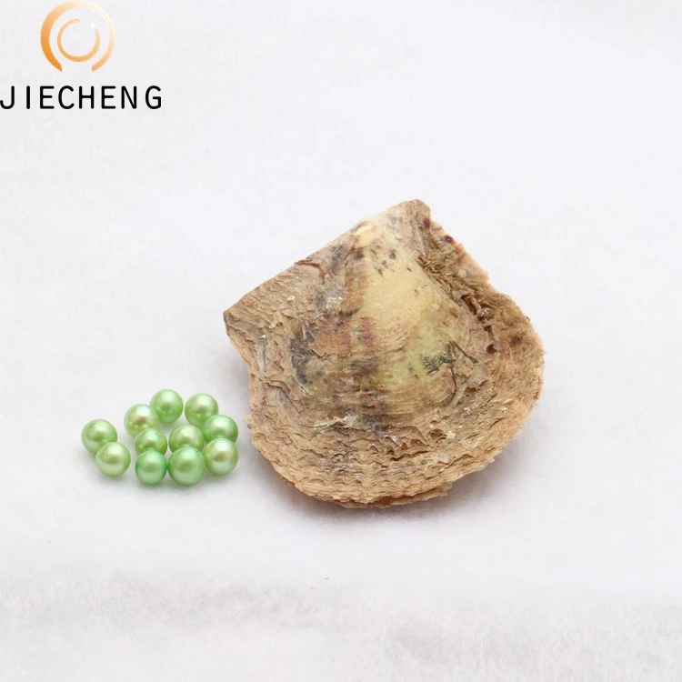 Bulk Wholesale 6-7mm Vacuum-packed live oyster product farming aaaa grade akoya oyster pearls for Pearl Party
