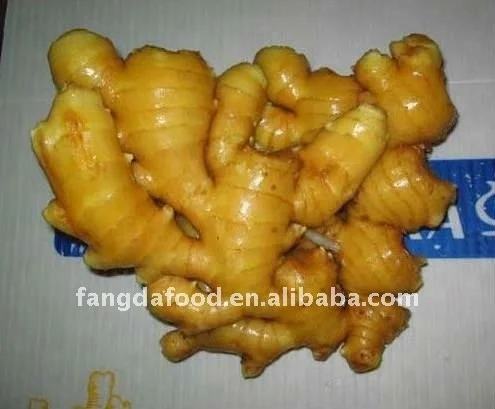 fresh /young fat/air/An qiu ginger