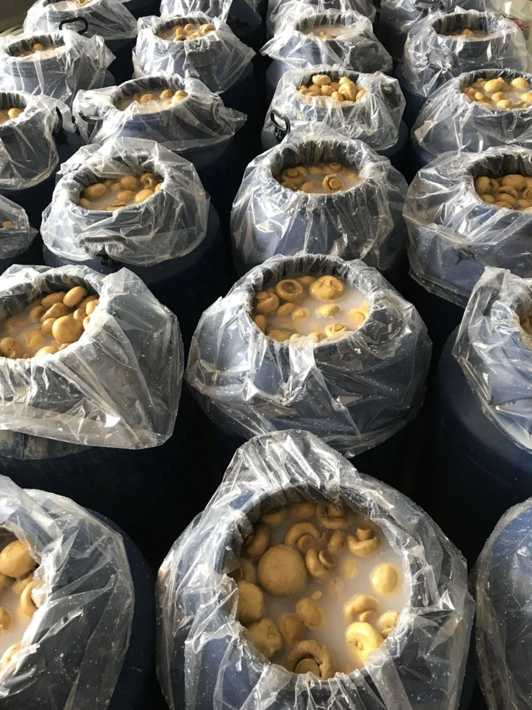
Wholesale brined mushrooms in drums 