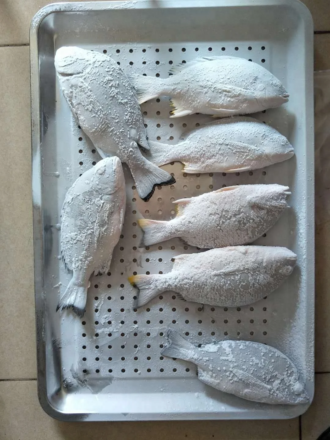 DJL -86 degree ultra low temperature freezer liquid nitrogen sea cucumber supper freezer / holothurian freezing machine