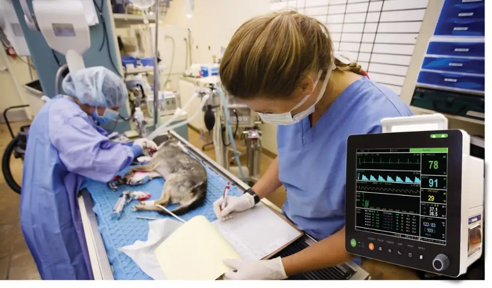 Factory direct sales PM6000V Veterinary ETCO2 Vital Signs Monitor with 6 parameters