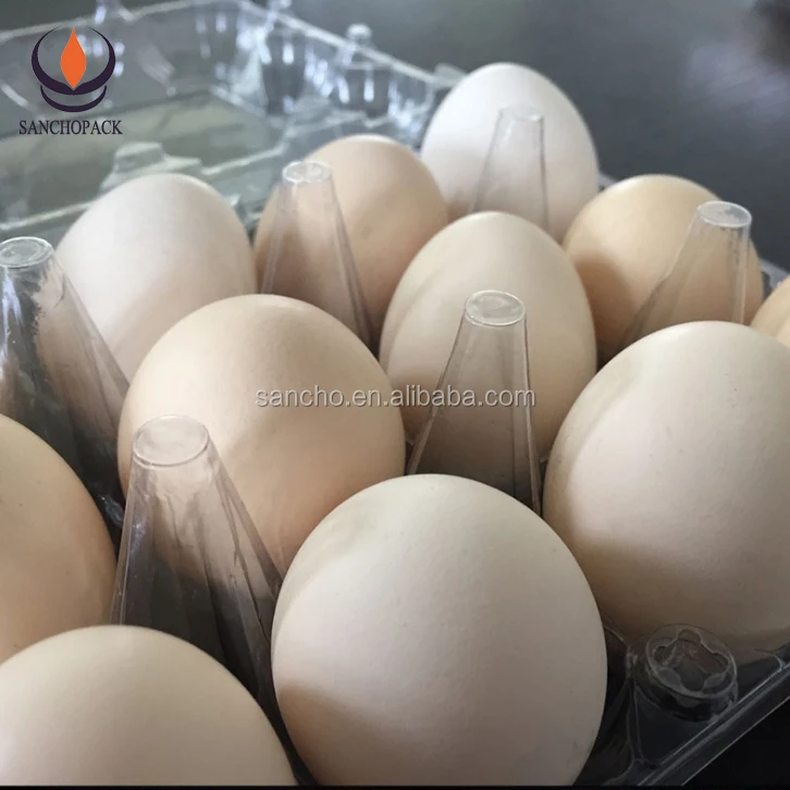 Оптовая продажа, прозрачные пластиковые большие коробки для яиц с принтом утка на заказ, распродажа