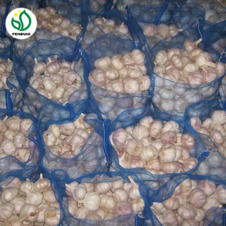 2022 Fresh Garlic Price for Morocco 10kg/bag, 20kg/bag