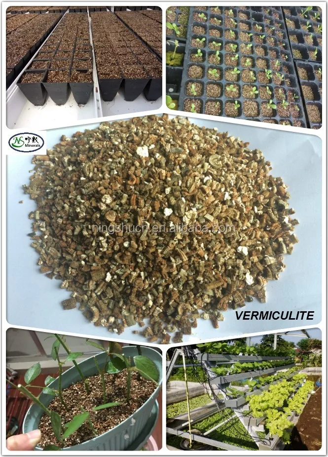 Growing Medium Expanded Perlite and Vermiculite for Orchid plant nursery