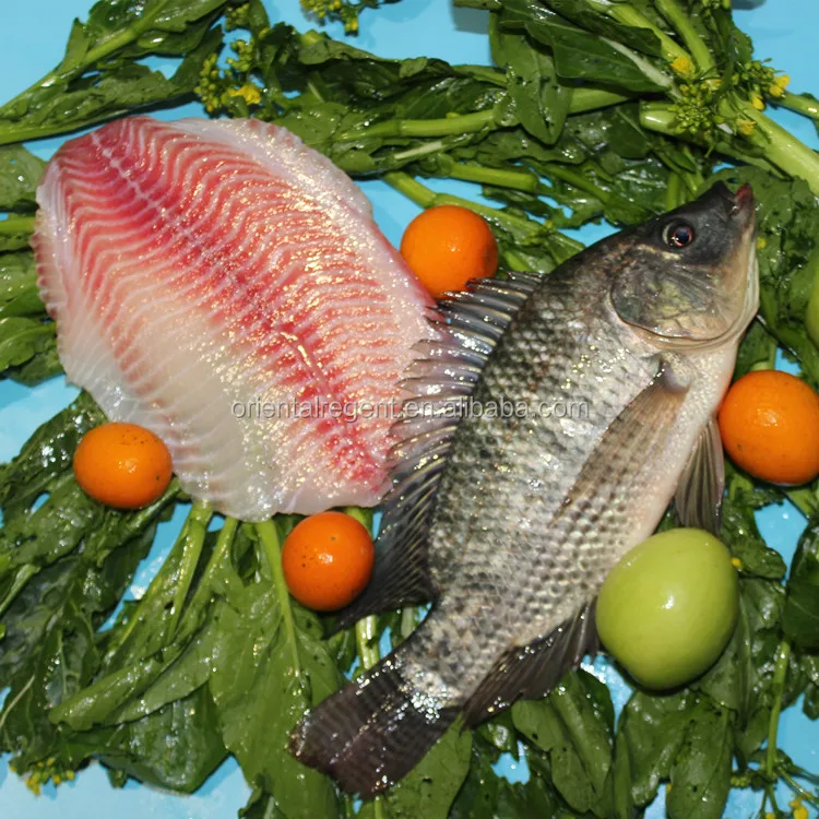 
TREATED IQF tilapia fillet 2-3OZ 