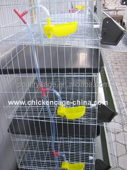 Good Quality ! Low Price ! Galvanized Quail Cage For Laying Hens And Quail Egg Boxes( Factory Price )