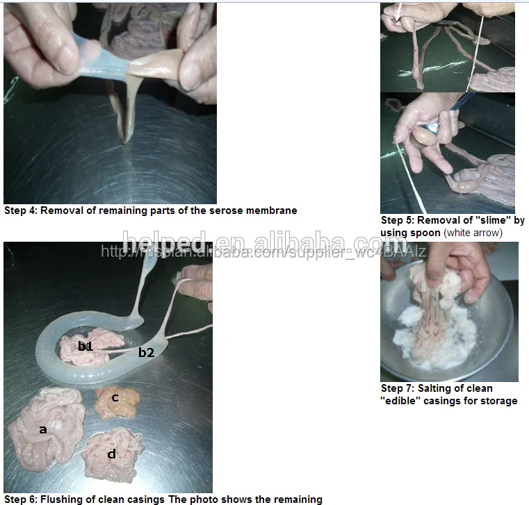 Природных животных гильзы корпус овец свиней корпус для колбаса делая