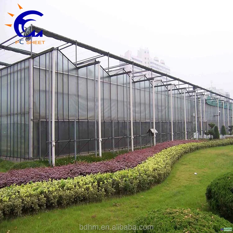 Plastic Polycarbonate Multi-span Greenhouse for Agriculture
