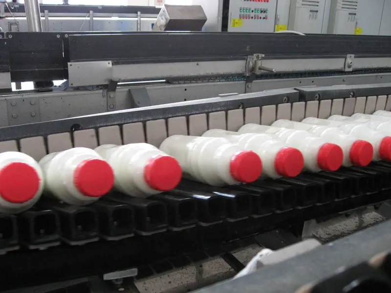 
Customized Beverage PET Glass Bottle Can Inverse Overturn Tilting Sterilizing Laydown Automatic Conveyor 