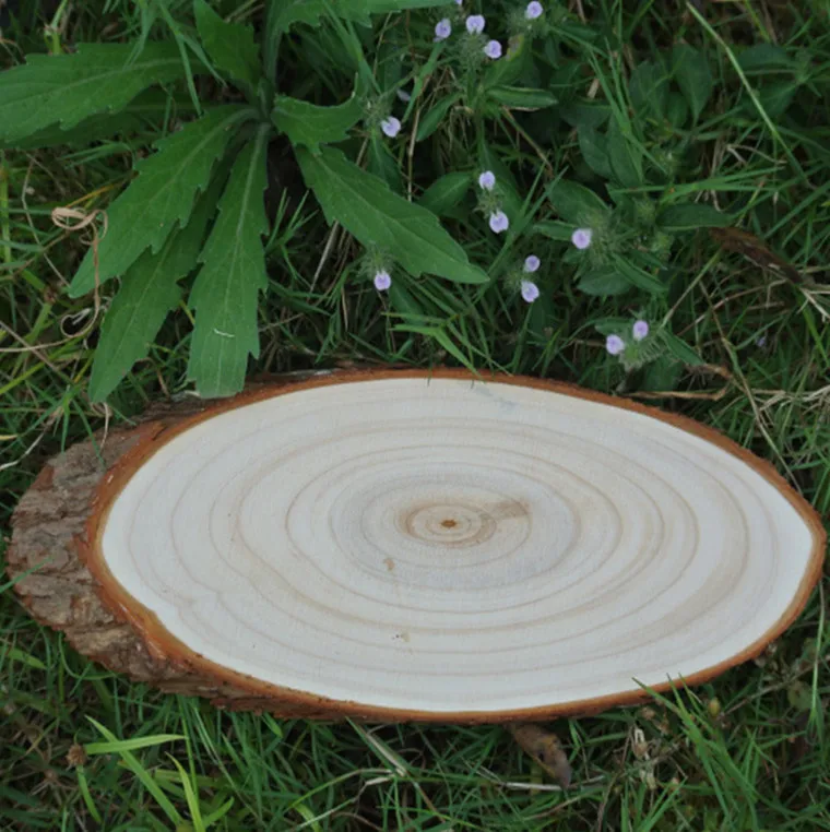 Factory Direct Craft Large Oval Natural Wood Tree Slice with hole