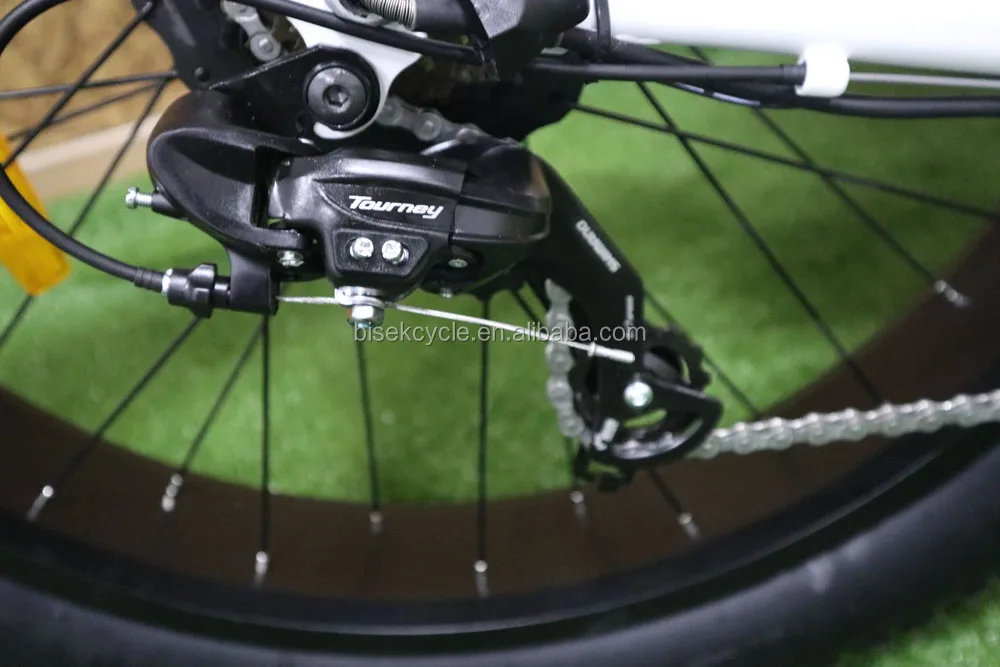 Long range electric bicycle 48V 500W/750W Beach cruiser Fat Tire electric road bike 1000w bafang electric mountain bike