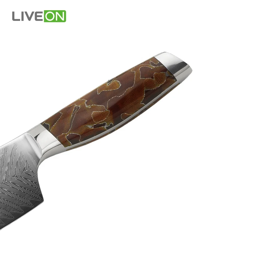 10 inch 67 Layers Damascus Steel Chef Knife