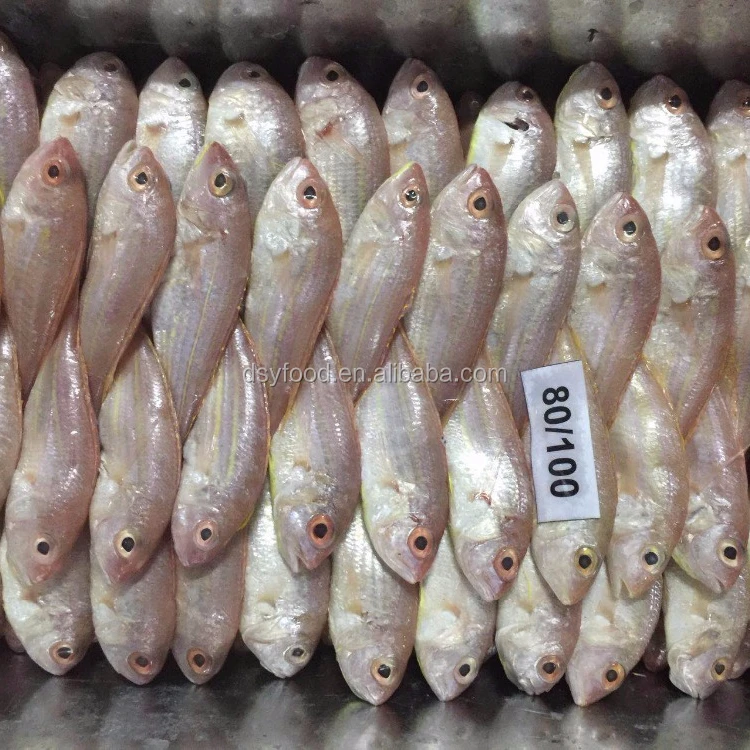 Frozen threadfin bream best price for sale