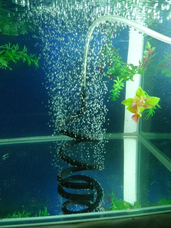 HiSin In bluk R45B 45cm aquarium rubber air diffuser with micro bubbles oxygen bubble tube air pump components