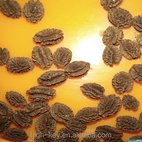 
S615 Mu gua zhong zi Hot Sale 100% Natural Papaya Red Lady Seeds 